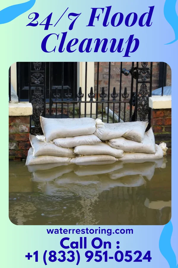 24/7 Flood Cleanup in Ste. Marie, IL