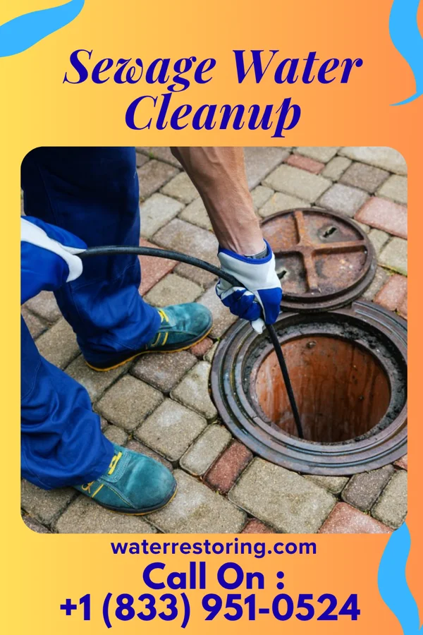 Sewage Water Cleanup in Ste. Marie, IL